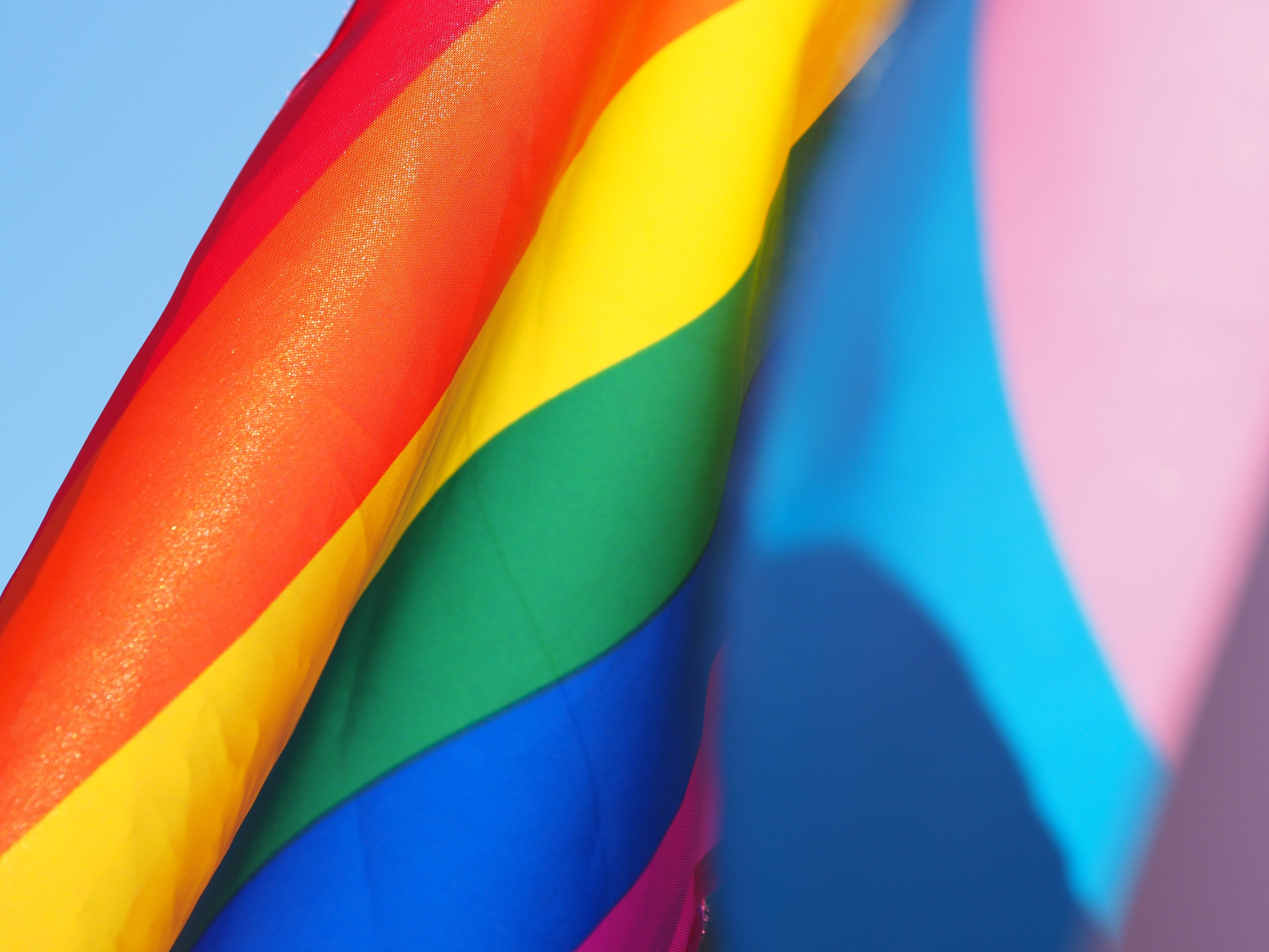 Pride Starter Pack bunny-bumm.myshopify.com