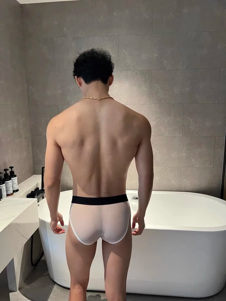 ENDOWED Sheer Briefs