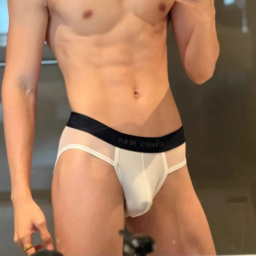 ENDOWED Sheer Briefs