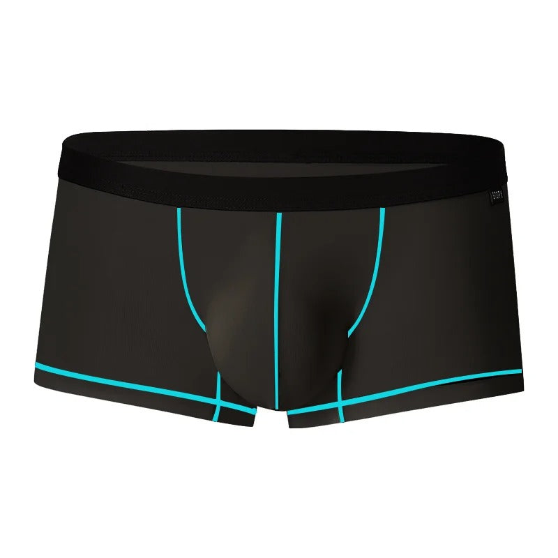 ENDOWED Sheer Boxers