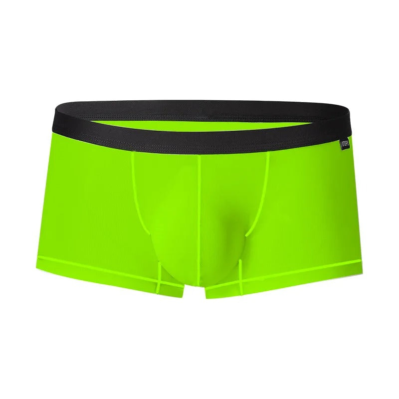 ENDOWED Sheer Boxers