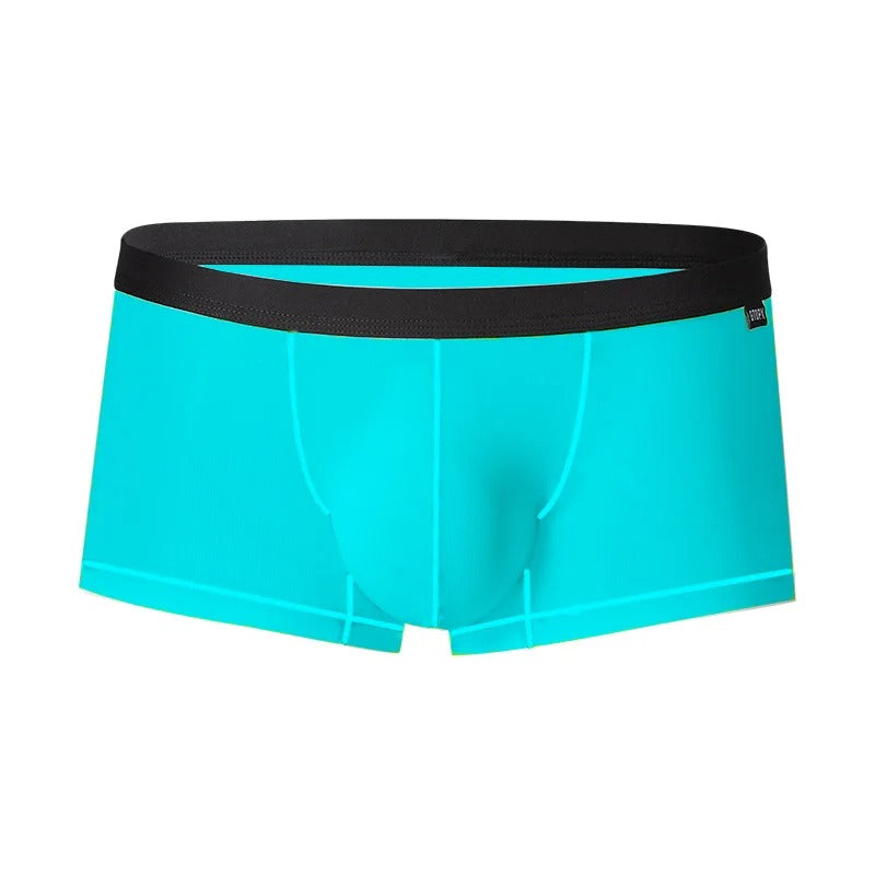ENDOWED Sheer Boxers