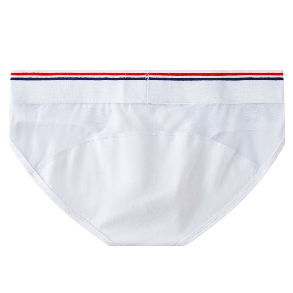 JM Mesh Briefs