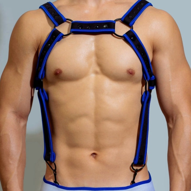 BB DM Harness