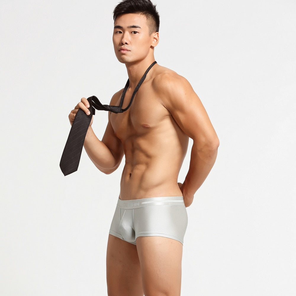 SB Metallic Boxers