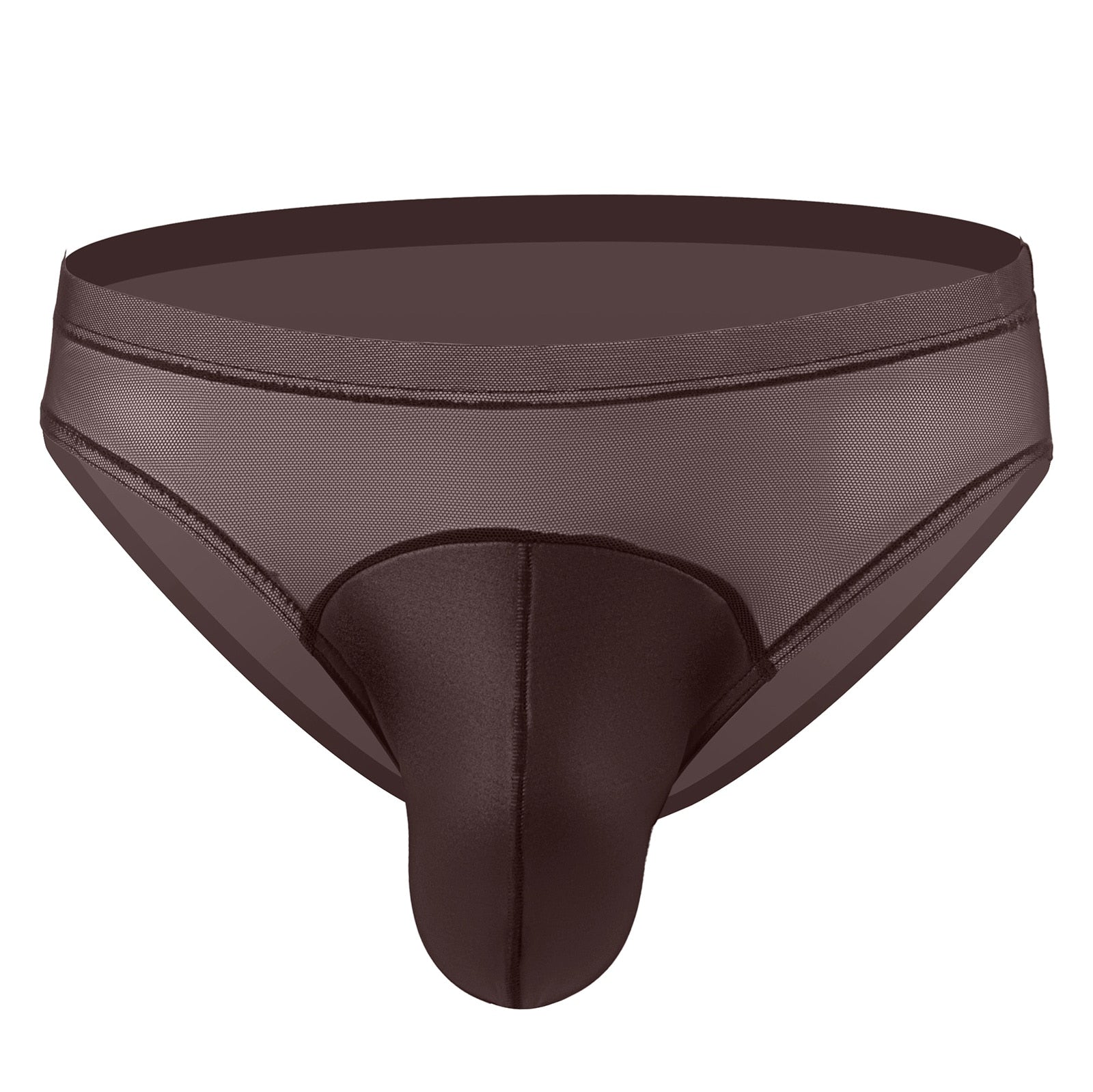 FTSH Mesh Briefs