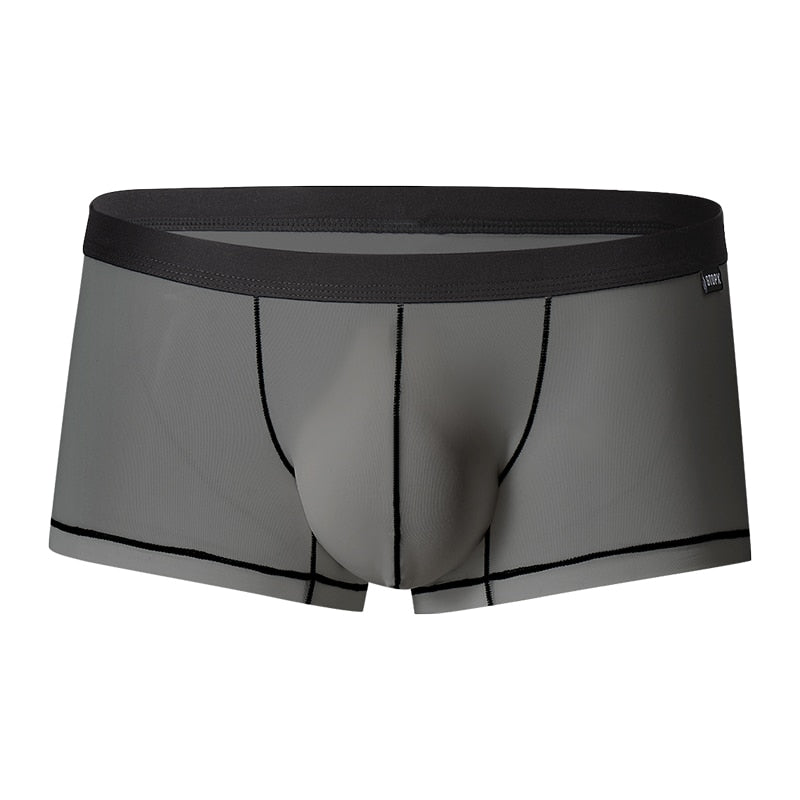 ENDOWED Sheer Boxers
