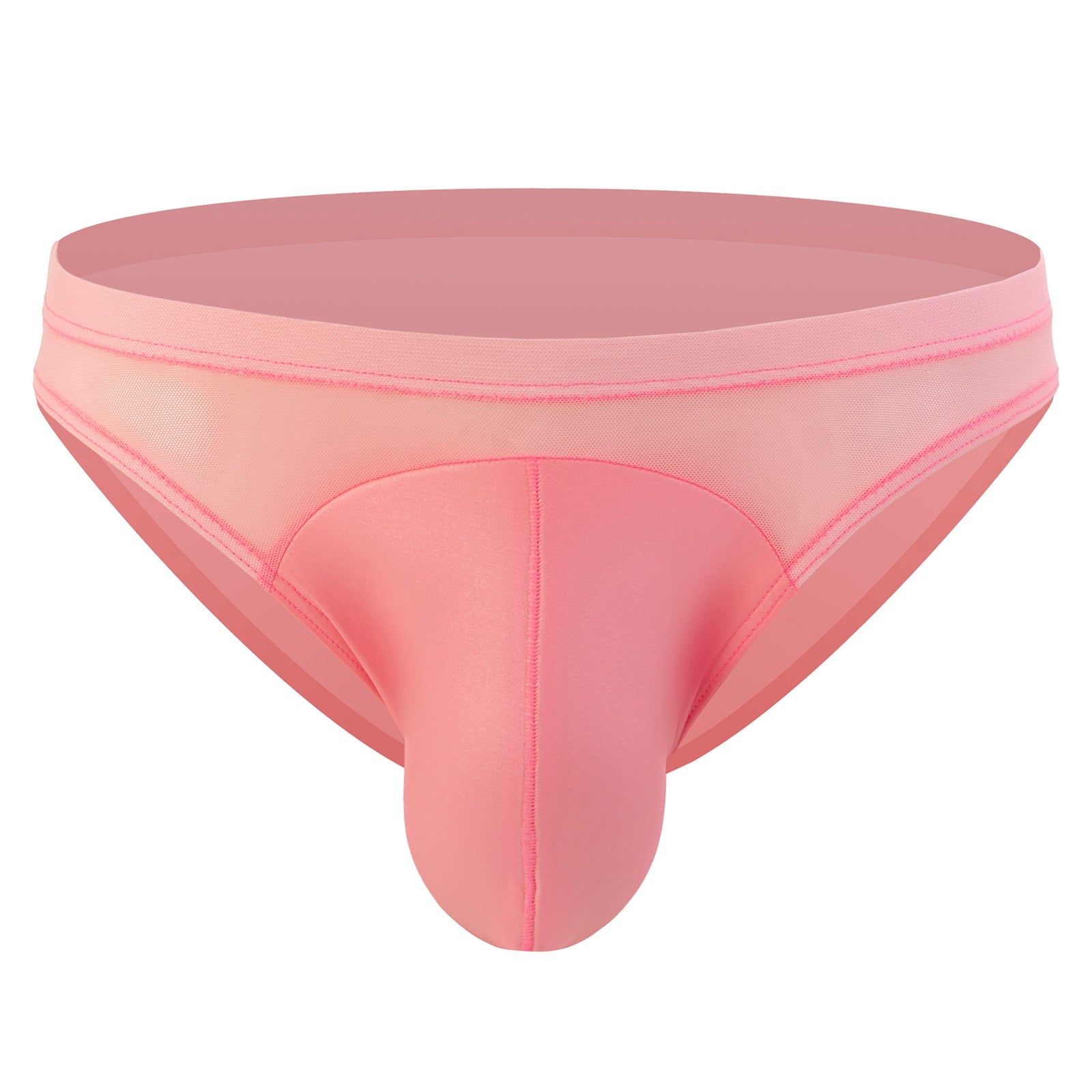 FTSH Mesh Briefs