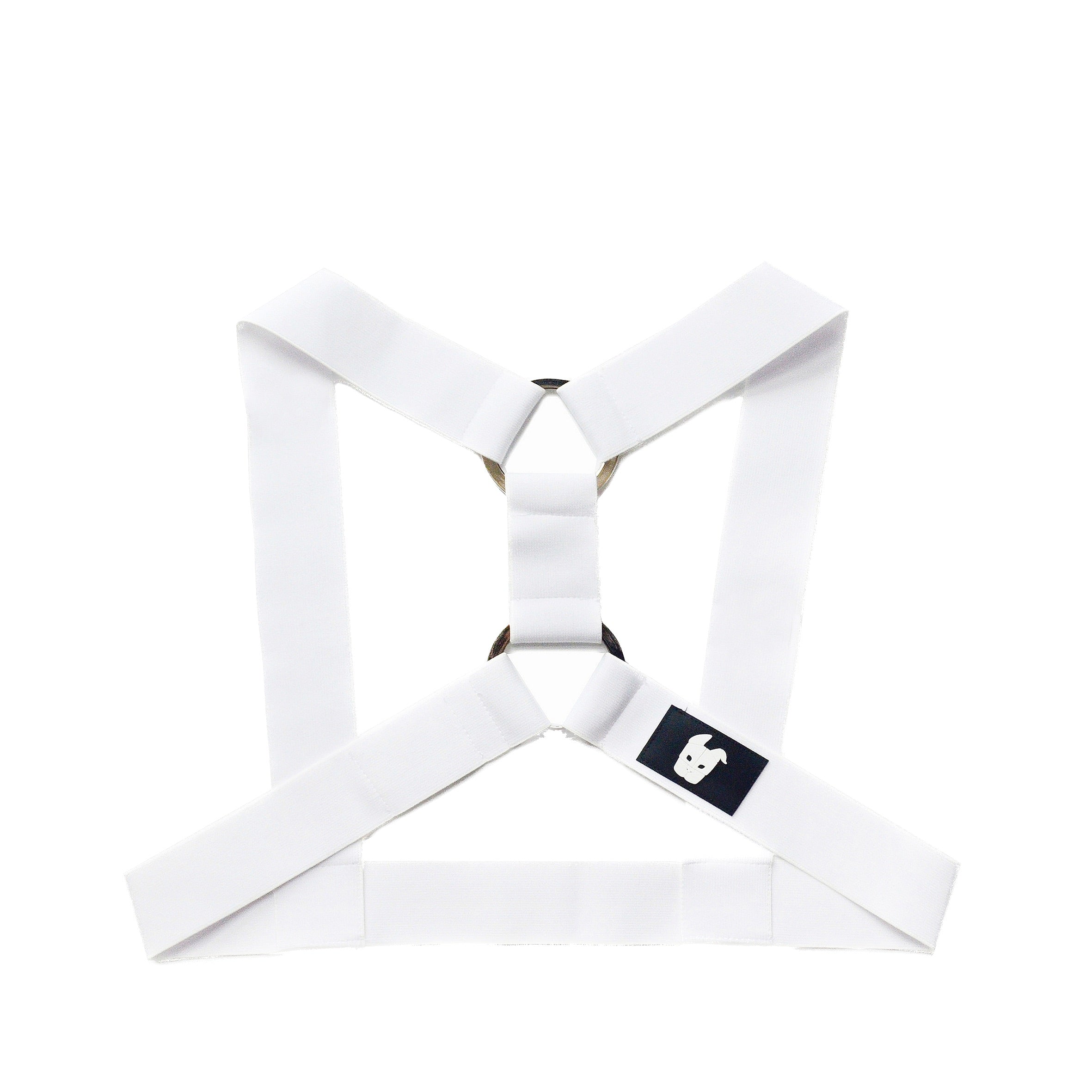 DM Belt Chest Harness