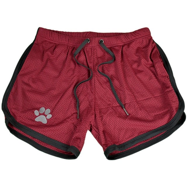 PUPPY Mesh Shorts Shorts