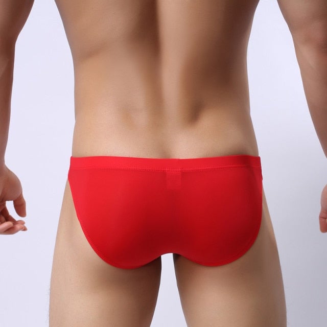 SASSY HUNK See-Through Briefs Underwear