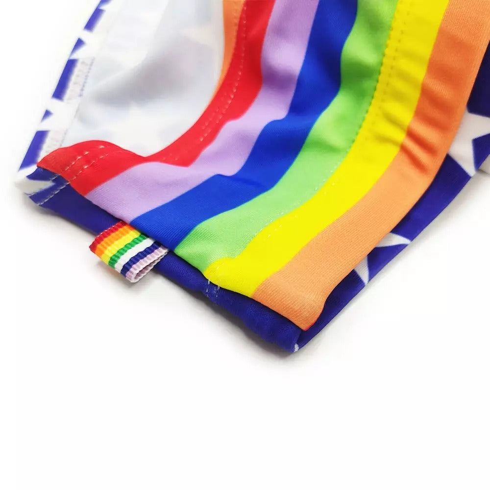 PROUD AF Swim Briefs Swimwear