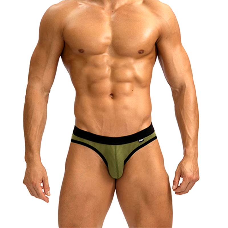 ENDOWED Briefs