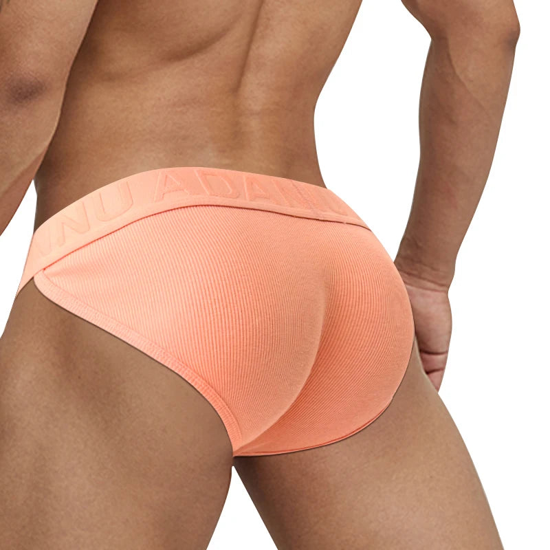 SIESTA Super Briefs