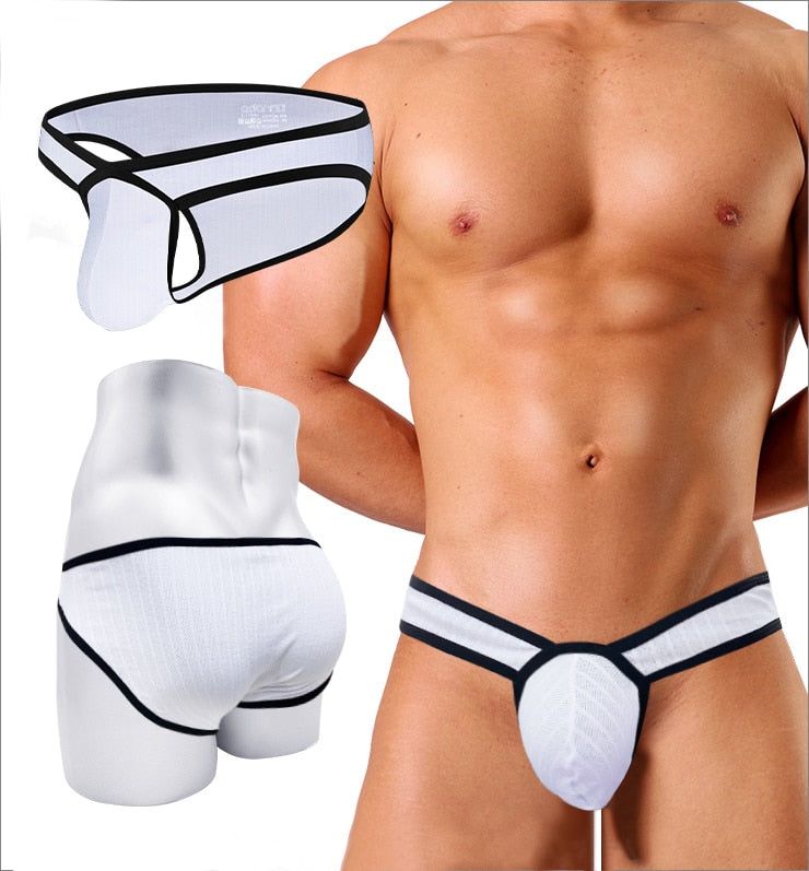 V HUNG Briefs