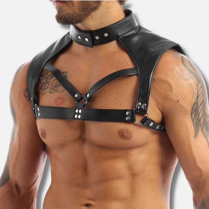 POWER DOM Leather Harness Harness